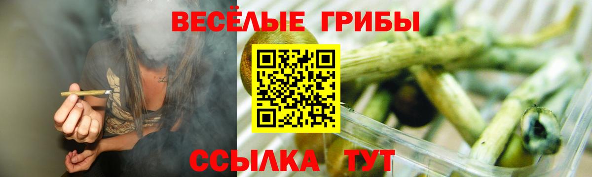Псилоцибиновые грибы ЛСД Туймазы